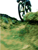 âîëê.gif - 61536 Bytes