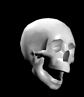 windows.gif - 25617 Bytes