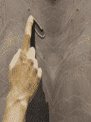 ïåñèê.gif - 11111 Bytes