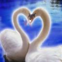 heart05.jpg - 3566 Bytes