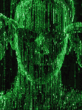 êîðîâà.gif - 14370 Bytes