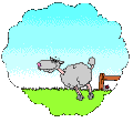 49.gif - 10378 Bytes