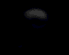 êîò è õâîñò.gif - 18616 Bytes