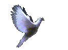 Penguin-02.gif - 10708 Bytes