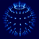 ñêåëåò.gif - 40695 Bytes